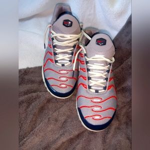 Nike Air Max Plus USA Grey DB0682-003